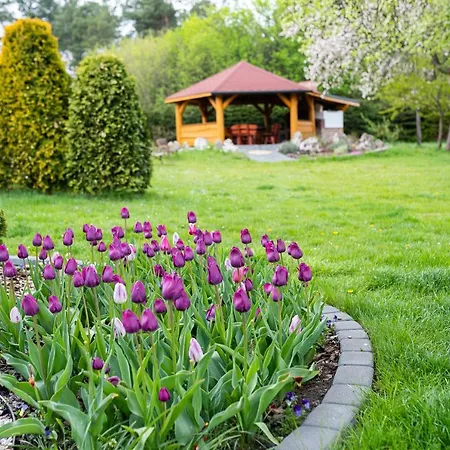 Κατάλυμα σε φάρμα Skalny Apartamenty,