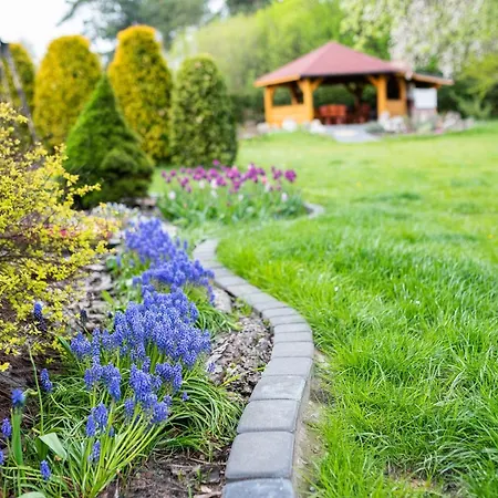 Skalny Apartamenty, *