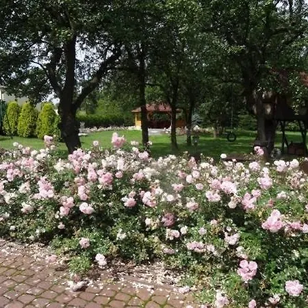 Skalny Apartamenty, * Ogrodzieniec