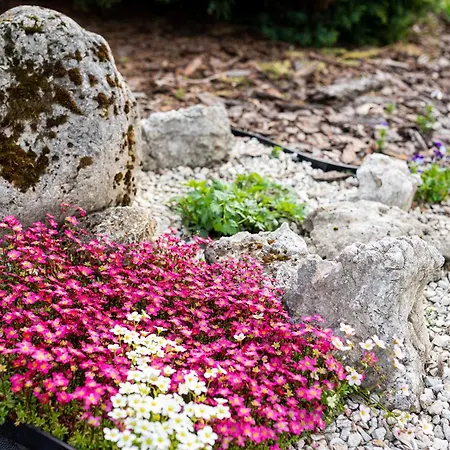 Farm stay Skalny Apartamenty, *