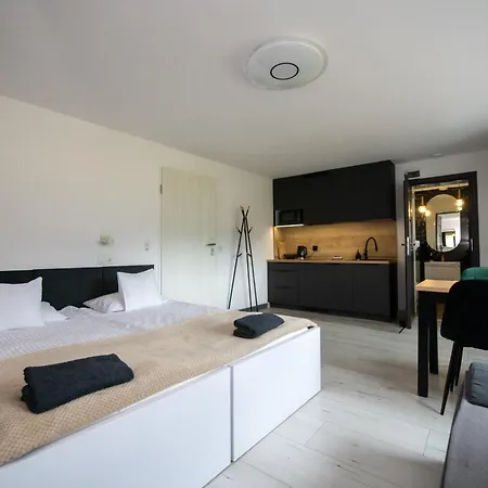 农家乐 Skalny Apartamenty, *
