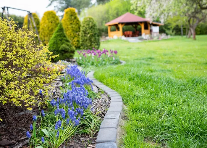 Skalny Apartamenty, *