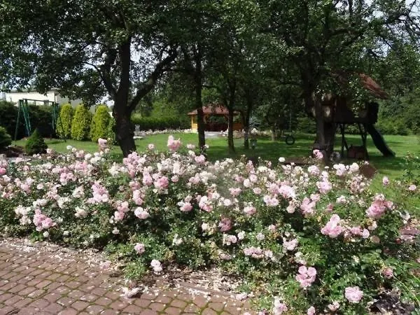 Skalny Apartamenty, * Ogrodzieniec