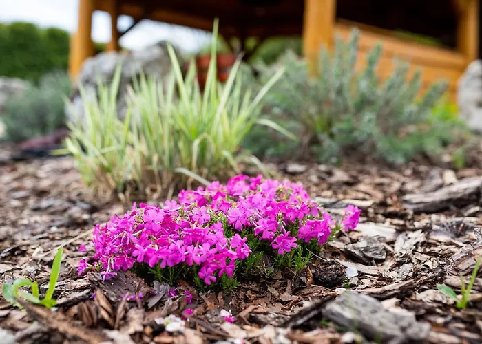 Фермерский дом Skalny Apartamenty, *