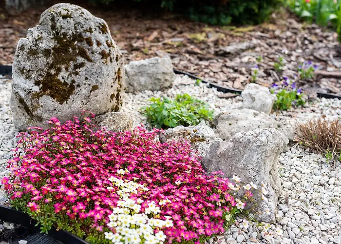 Farm stay Skalny Apartamenty, *