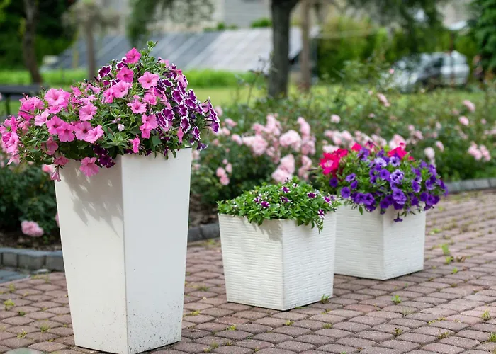 Skalny Apartamenty, Ogrodzieniec